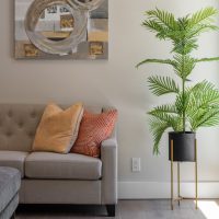 Vacant home staging